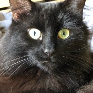 Meet your Posher, Mia